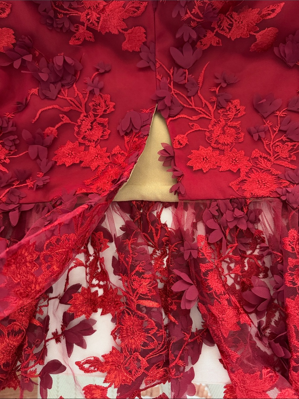 Marchesa Notte Red Lace Midi Dress 3d Floral Appliqué Mesh Wedding Guest Size 10 - Picture 12 of 17